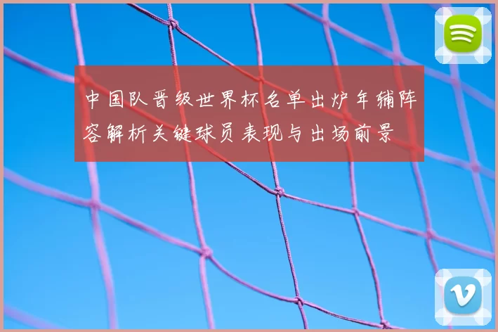 中国队晋级世界杯名单出炉年辅阵容解析关键球员表现与出场前景
