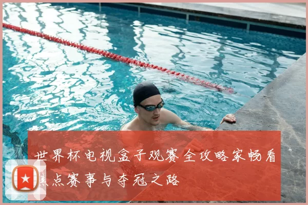 世界杯电视盒子观赛全攻略家畅看焦点赛事与夺冠之路