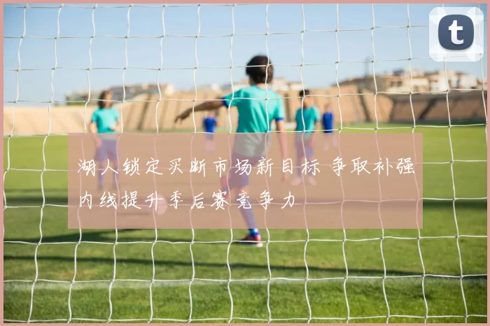 湖人锁定买断市场新目标 争取补强内线提升季后赛竞争力