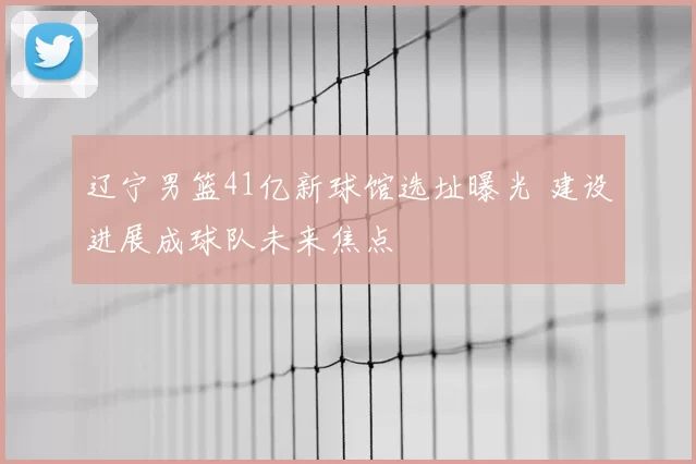 辽宁男篮41亿新球馆选址曝光 建设进展成球队未来焦点